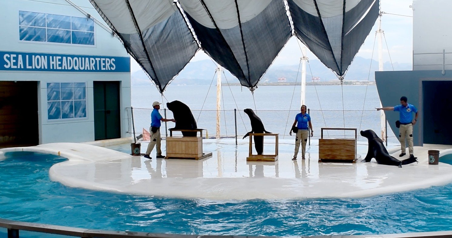 First Time in Subic? Where to Stay, Best Area to Choose, and 2-Day Itinerary (2026 Guide) Gallery