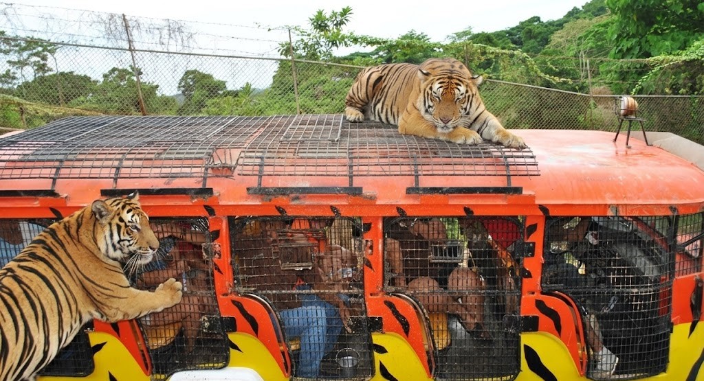 First Time in Subic? Where to Stay, Best Area to Choose, and 2-Day Itinerary (2026 Guide) Gallery